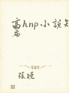 高hnp小说短篇