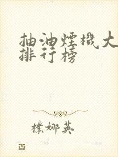 抽油烟机大品牌排行榜