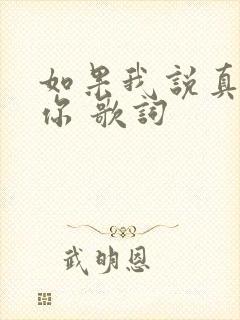 如果我说真的爱你 歌词