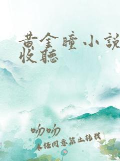 黄金瞳小说在线收听
