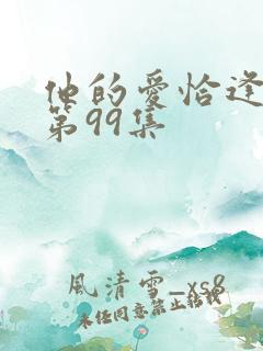 他的爱恰逢其时第99集