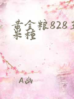 黄金粮828玉米种