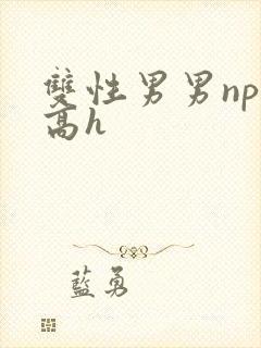 双性男男np肉高h