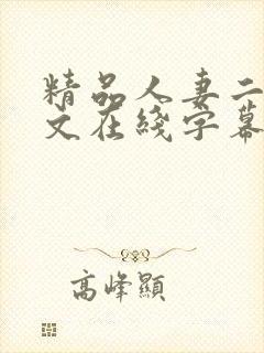 精品人妻二区中文在线字幕