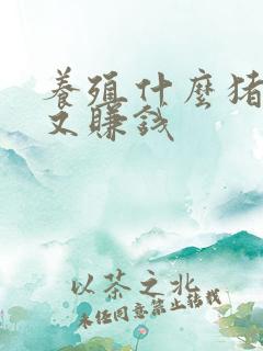 养殖什么猪好养又赚钱