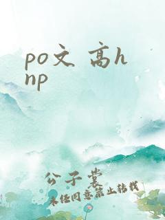 po文 高h np