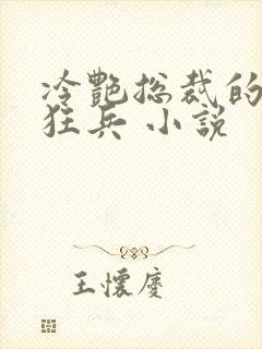 冷艳总裁的贴身狂兵 小说 冷艳总裁的贴身狂兵 小说