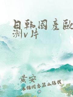 日韩国产欧美亚洲v片