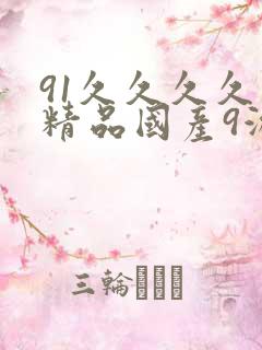 91久久久久久精品国产9游