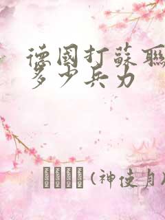德国打苏联用了多少兵力
