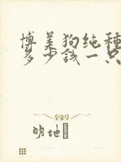 博美狗纯种价格多少钱一只