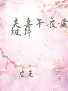 夫妻午夜黄色一级片