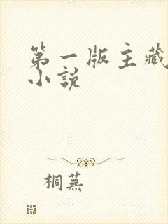 第一版主藏经阁小说