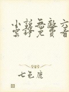 小说无敌六皇子云铮免费看