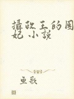 摄政王的团宠医妃 小说 摄政王的团宠医妃 小说