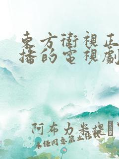 东方卫视正在热播的电视剧