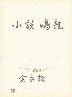 小说 鸣龙