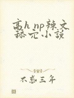 高h np辣文 舔穴小说