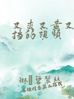 又爽又黄又无遮挡的视频