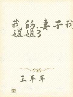 我的.妻子我的姐姐3