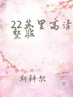 22英里高清完整版