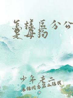 怎样区分公狗还是母狗