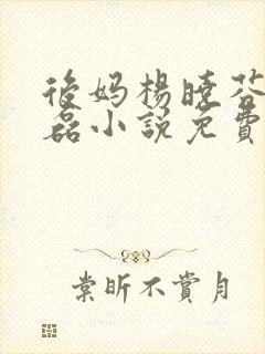 后妈杨晓芬与王磊小说免费阅读