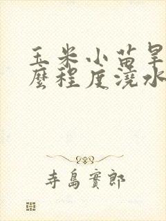 玉米小苗旱到什么程度浇水