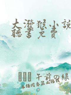 大泼猴小说有声听书免费