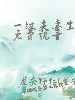 一级夫妻生活片免费观看