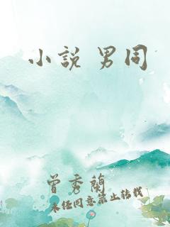 小说 男同