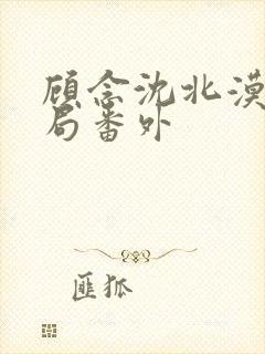 顾念沈北漠大结局番外