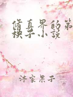 修真界的第一病秧子小说