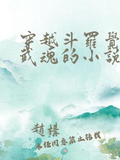 穿越斗罗觉醒剑武魂的小说