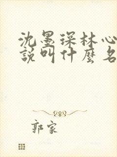沈墨琛林心然小说叫什么名字