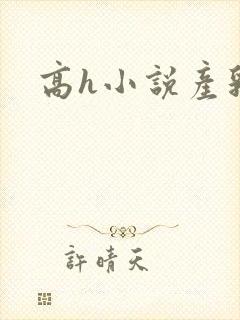 高h小说产乳