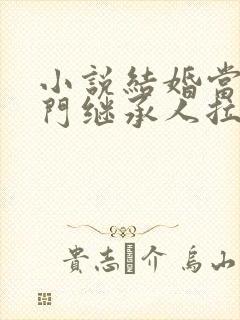 小说结婚当天豪门继承人拉我领证