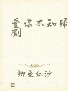 爱你不知归途短剧