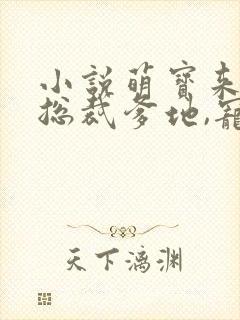 小说萌宝来袭:总裁爹地,宠上天