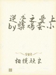 逆袭之爱上情敌by柴鸡蛋小说