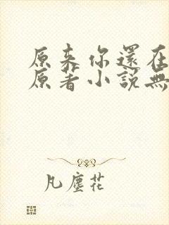 原来你还在这里原著小说无删减
