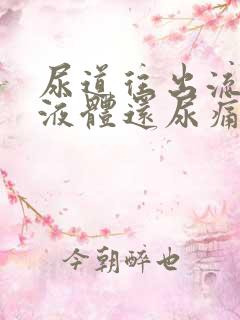 尿道往出流白色液体还尿痛