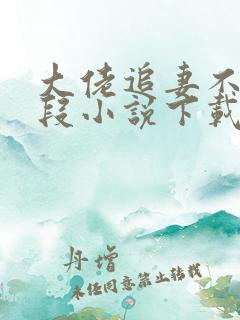 大佬追妻不择手段小说下载txt