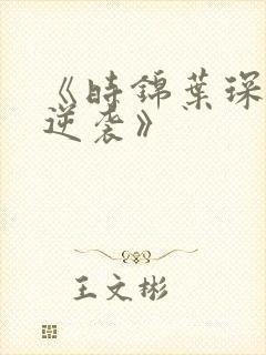 《时锦叶琛重生逆袭》