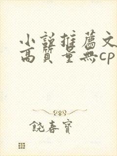 小说推荐文笔好高质量无cp