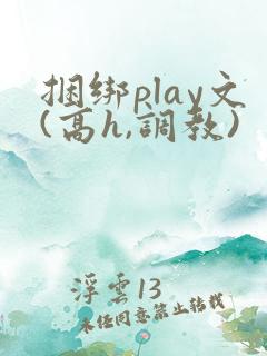 捆绑play文(高h,调教)