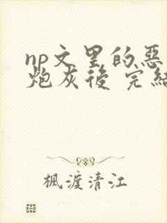 np文里的恶毒炮灰后 完结 番外