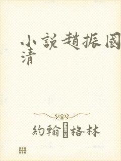 小说赵振国宋婉清