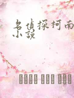 名侦探柯南侦探小说
