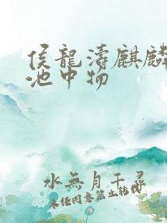 侯龙涛麒麟岂是池中物